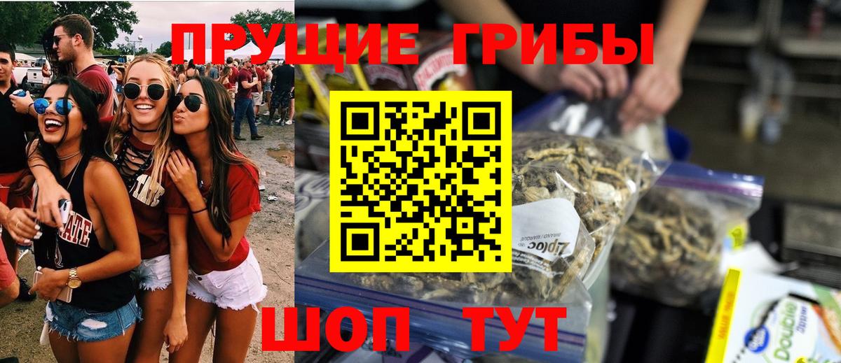 Псилоцибиновые грибы Psilocybe  наркотики  Кисловодск  Вход с VPN 